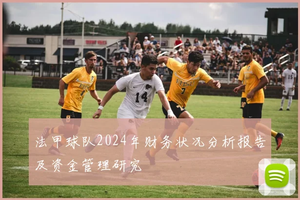 法甲球队2024年财务状况分析报告及资金管理研究
