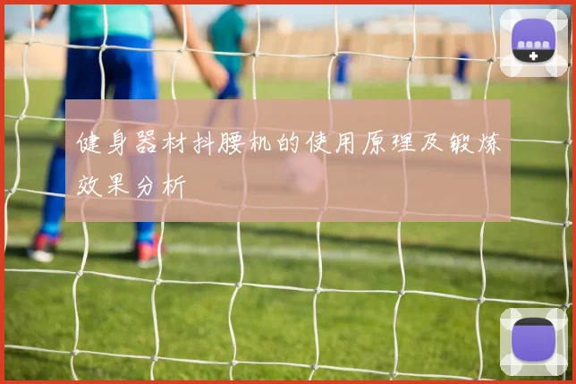 健身器材抖腰机的使用原理及锻炼效果分析