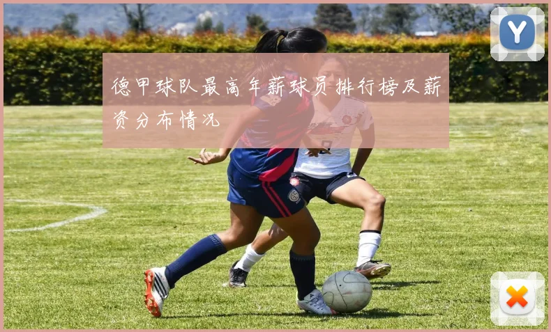 德甲球队最高年薪球员排行榜及薪资分布情况