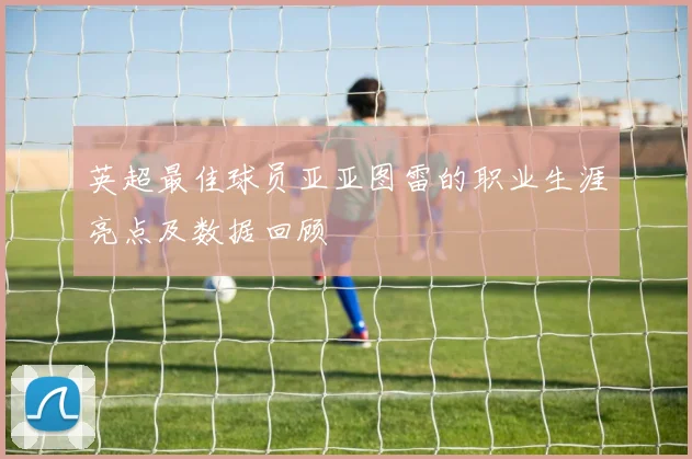 英超最佳球员亚亚图雷的职业生涯亮点及数据回顾